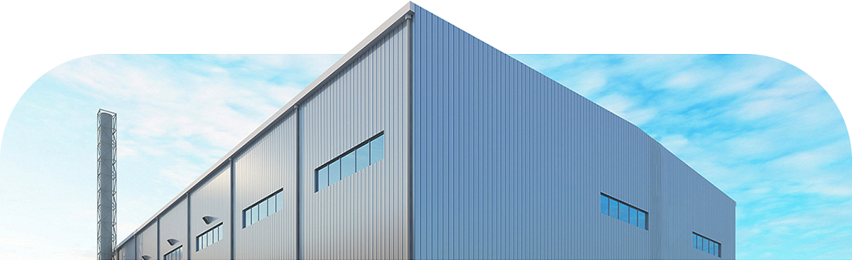 ʶ